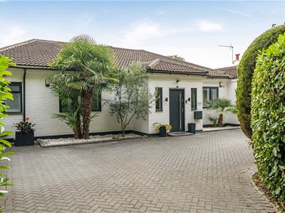 Picture 25
